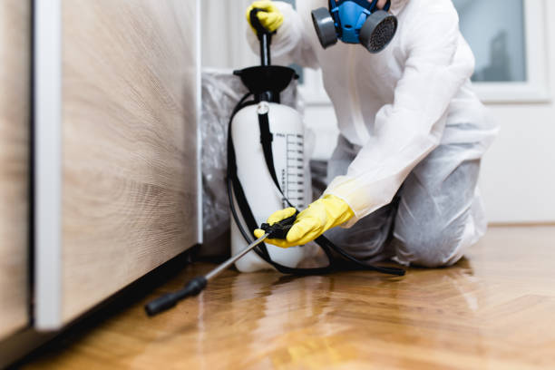 Best Cockroach Control Services  in Malibu, CA