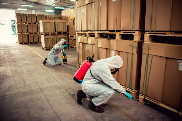 Best Best Pest Control Companies  in Malibu, CA
