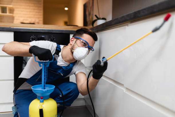 Best Best Pest Control Companies  in Malibu, CA