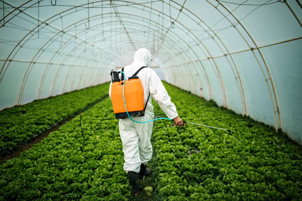 Professional Pest Control in Malibu, CA