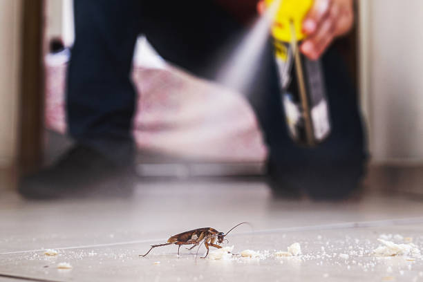 Best Pest Removal Services  in Malibu, CA
