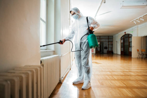 Pest Prevention Services in Malibu, CA
