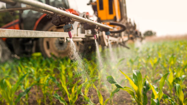 Best Mosquito Control Services  in Malibu, CA